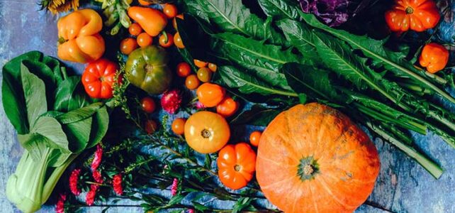 Organic food healthier than farmed products. Organic food healthier than farmed products.